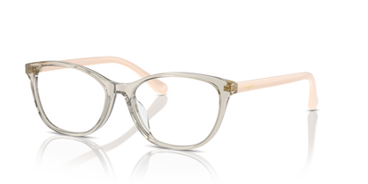 VOGUE EYEWEAR VO5502D 2998 54