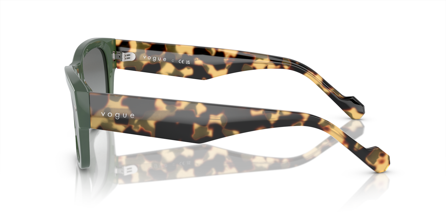 VOGUE EYEWEAR VO5530S 309211 55