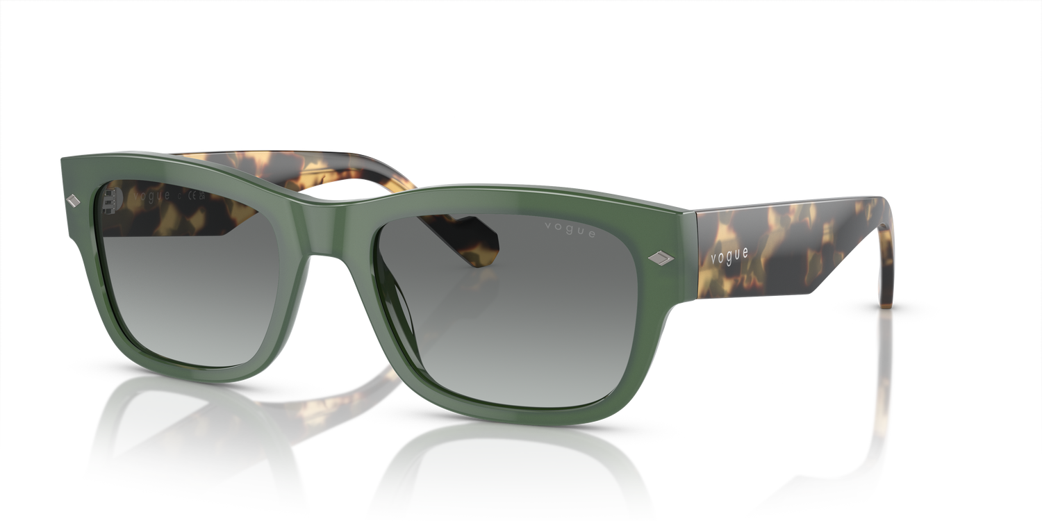 VOGUE EYEWEAR VO5530S 309211 55