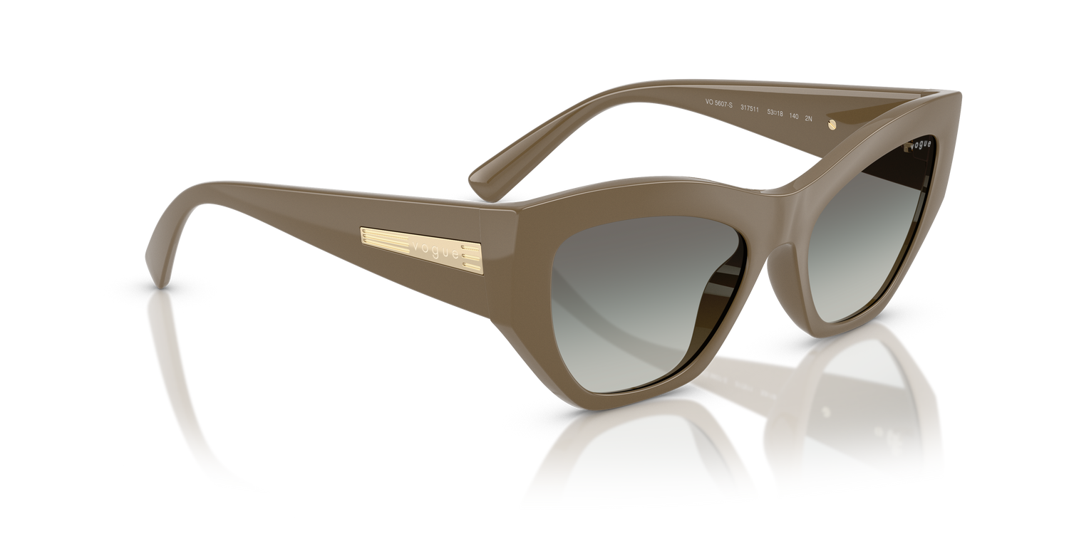 VOGUE EYEWEAR VO5607S 317511 53