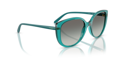 VOGUE EYEWEAR VO5623S 319111 55