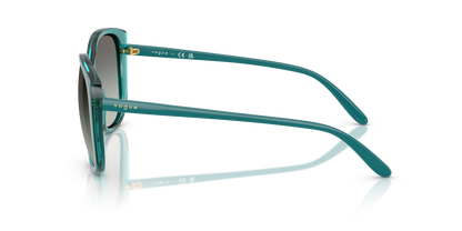 VOGUE EYEWEAR VO5623S 319111 55