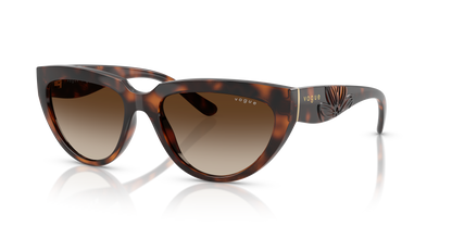 VOGUE EYEWEAR VO5629S 271813 54