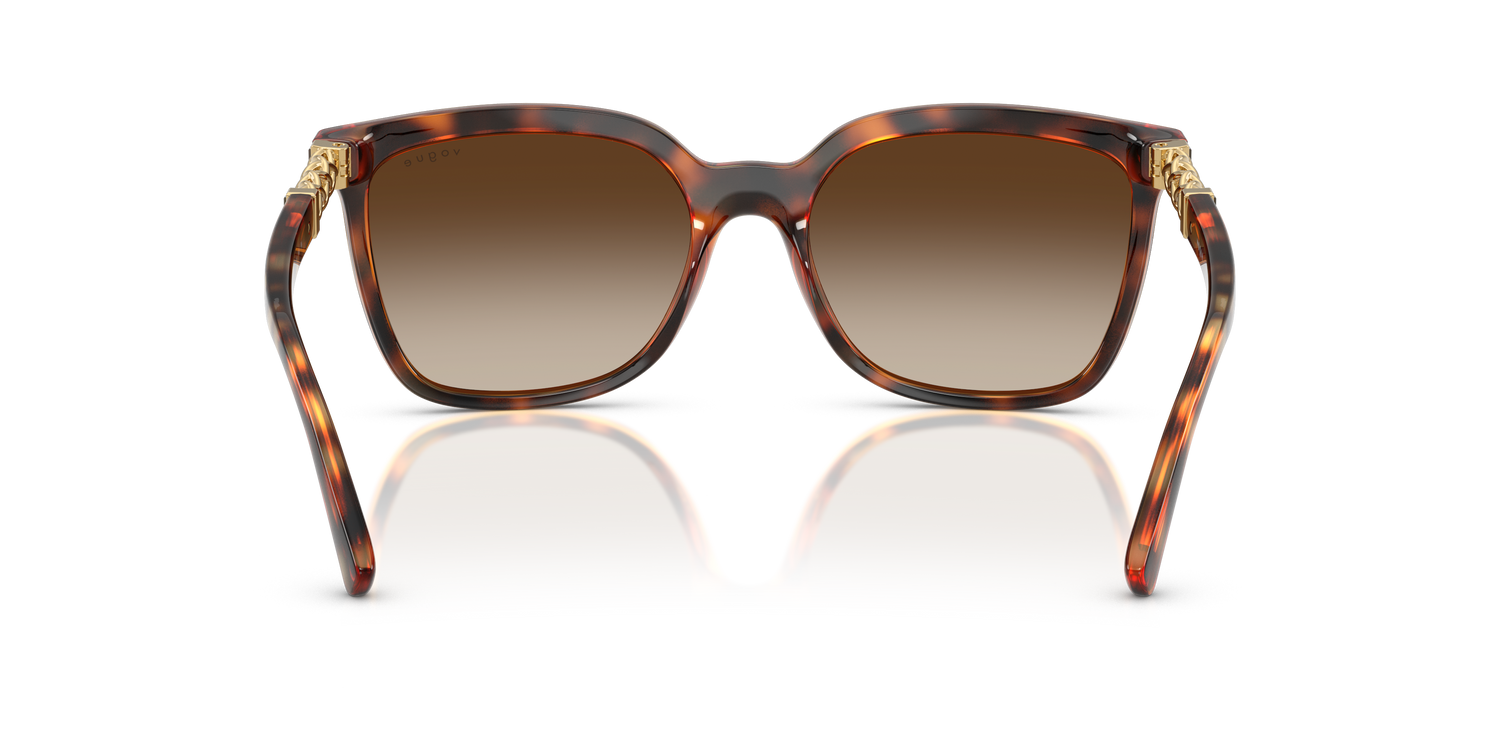 VOGUE EYEWEAR VO5633SB W65613 56