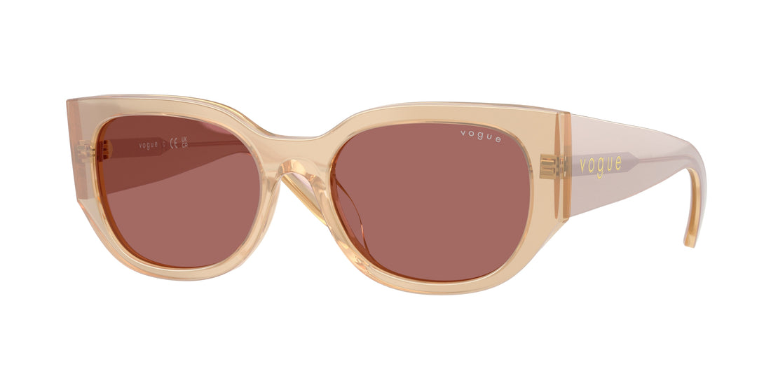 Gafas de sol vogue eyewear vo5641su 323469 marron irregular femenino talla 53mm - Vista principal