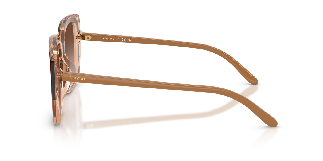 VOGUE EYEWEAR VO5684SD 318113 65