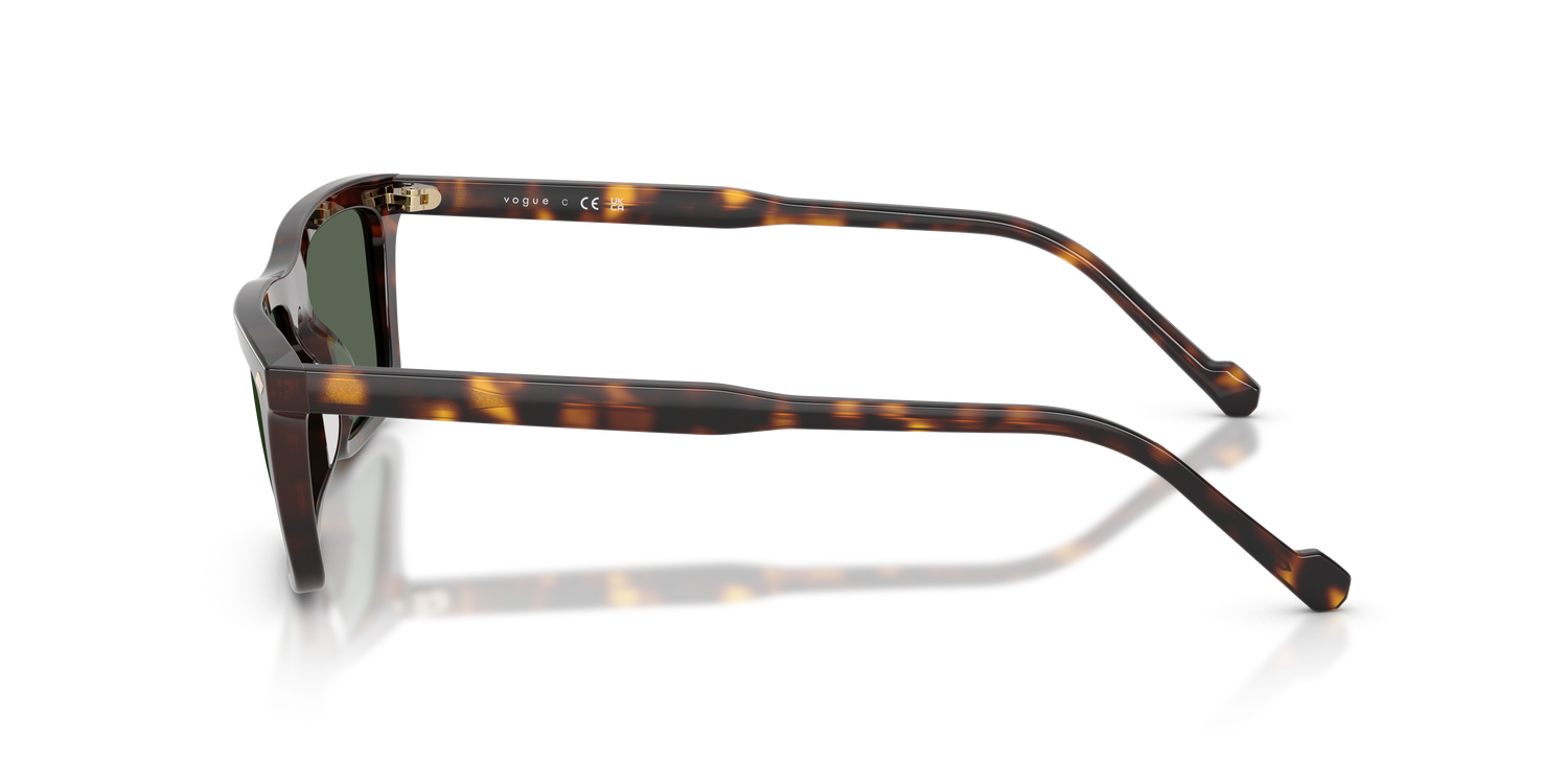 VOGUE EYEWEAR VO5687S W65671 55