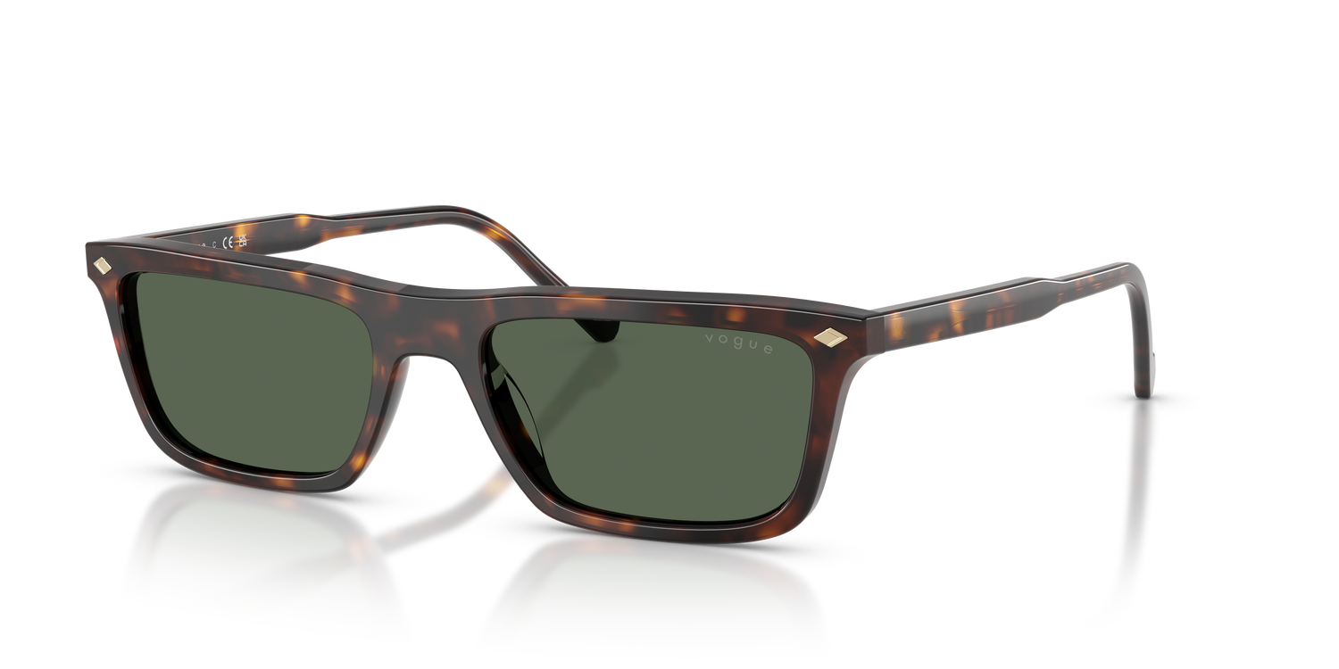 VOGUE EYEWEAR VO5687S W65671 55