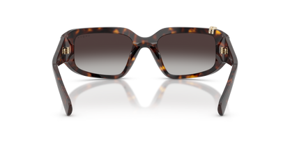 VOGUE EYEWEAR VO5688SB W6568G 55