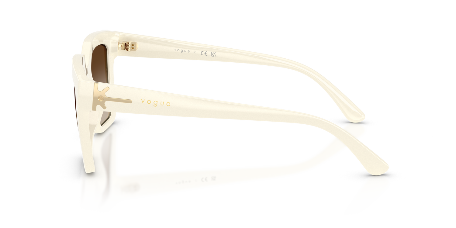 VOGUE EYEWEAR VO5690S 316713 49