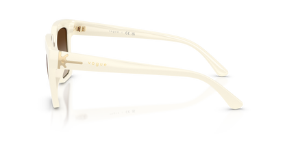 VOGUE EYEWEAR VO5690S 316713 49
