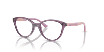 VOGUE EYEWEAR VY2019 3064 48