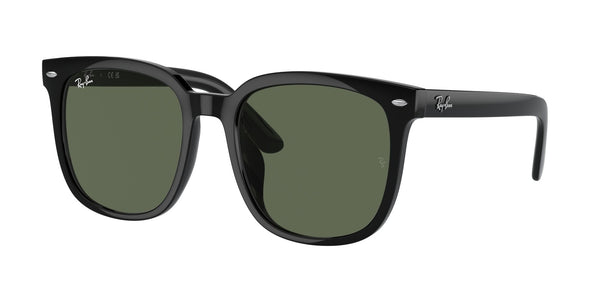 RAY-BAN RB4401D 601/71 55