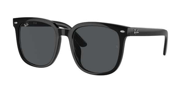 RAY-BAN RB4401D 601/87 55