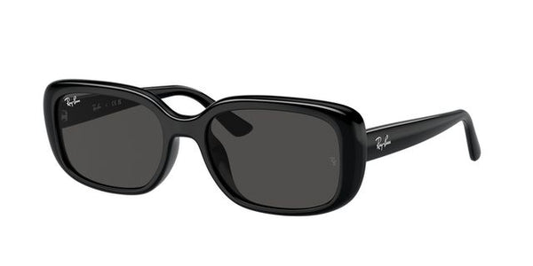 RAY-BAN RB4421D 667787 56