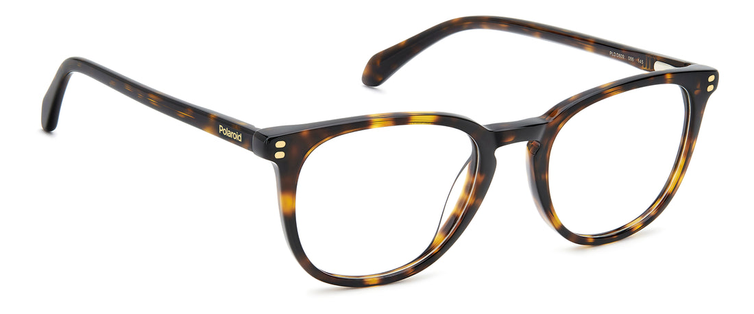 Occhiali da vista polaroid pld d609 086 havana round masculino taglia 51mm - Vista dettagliata