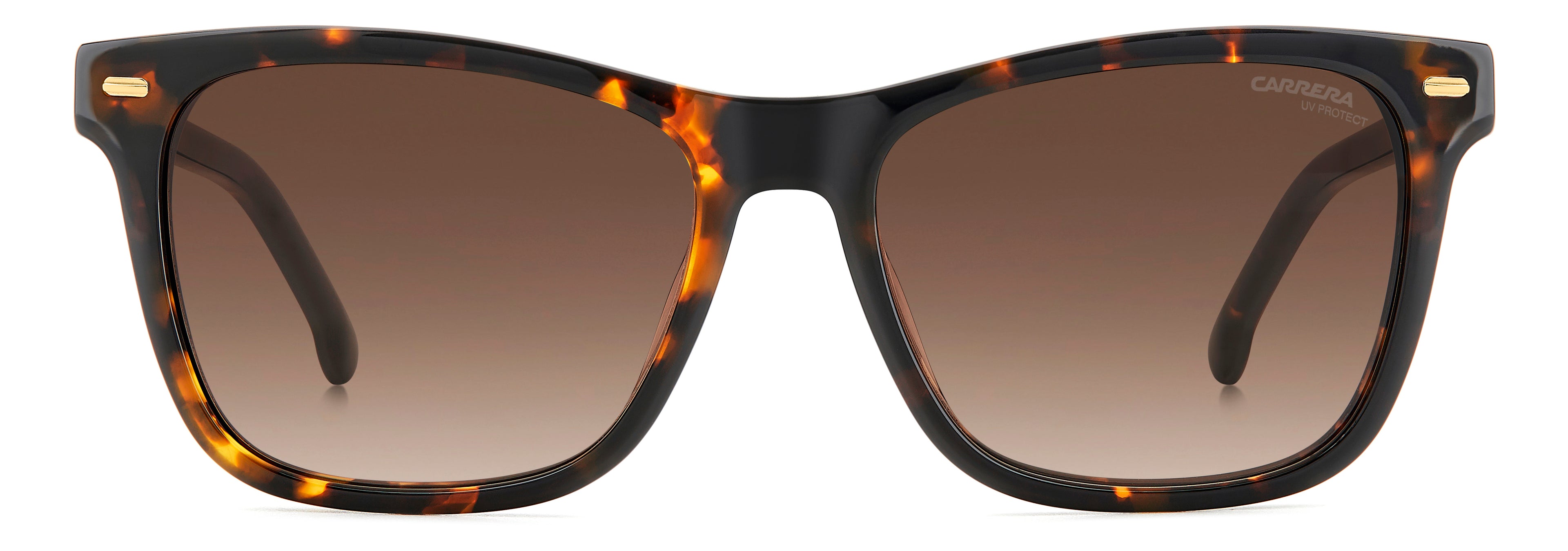 CARRERA 3001/S 086 HA 54