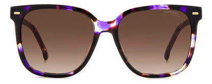 CARRERA 3002/S HKZ HA 55