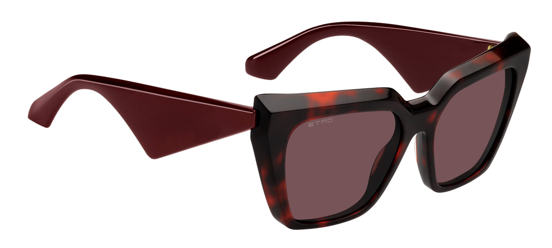 Zonnebrillen etro 0096/g/s 82u u1 havana rectangular femenino maat 55mm - Detailaanzicht