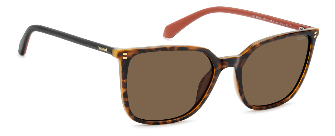 Óculos de sol polaroid pld 4209/s/x 086 sp havana square femenino tamanho 56mm - Vista de detalhe