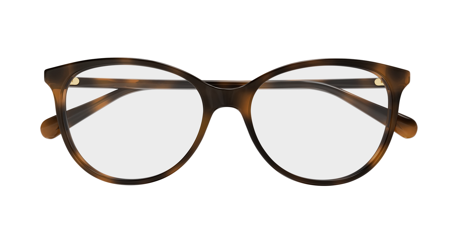 Gucci GG0550O 002 51
