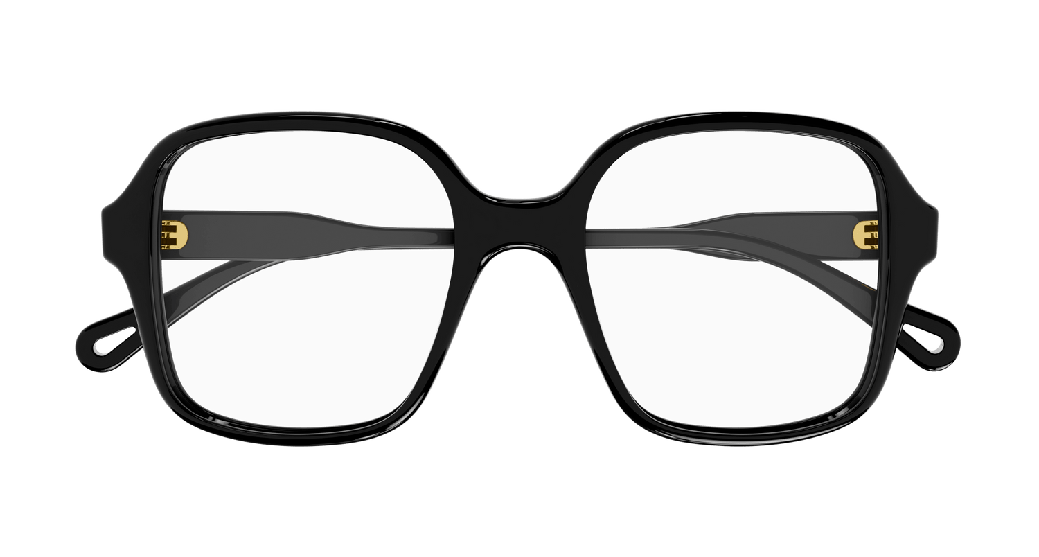 CHLOÉ CH0126O 005 53