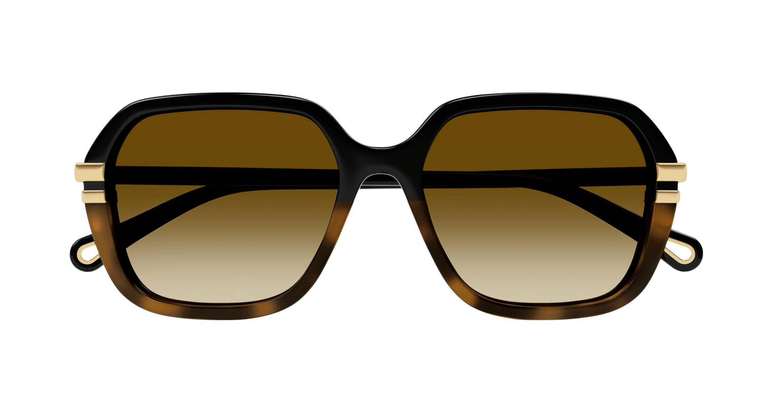 CHLOÉ CH0204S 003 57
