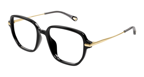 CHLOÉ CH0218OA 001 55
