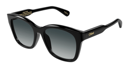 CHLOÉ CH0194SK 001 55