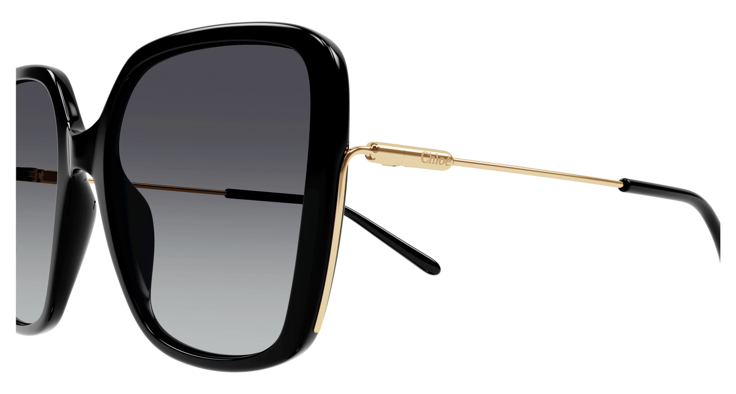 CHLOÉ CH0173S 001 57