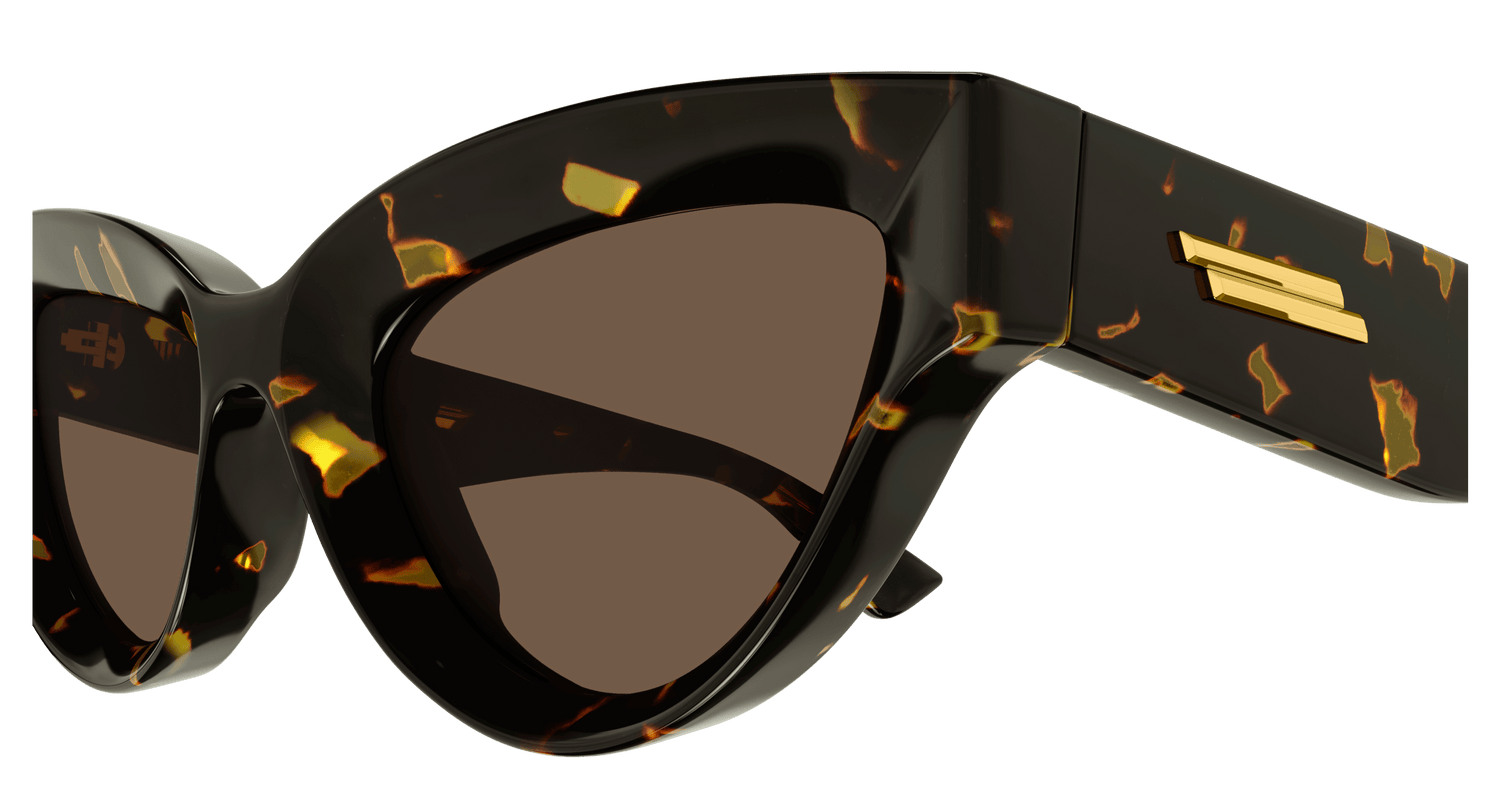 Bottega Veneta BV1249S 002 53