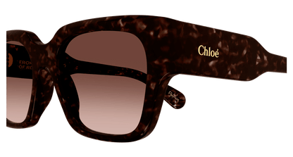 CHLOÉ CH0190S 002 54