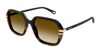 CHLOÉ CH0204S 003 57