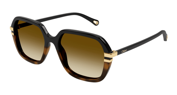 CHLOÉ CH0204S 003 57