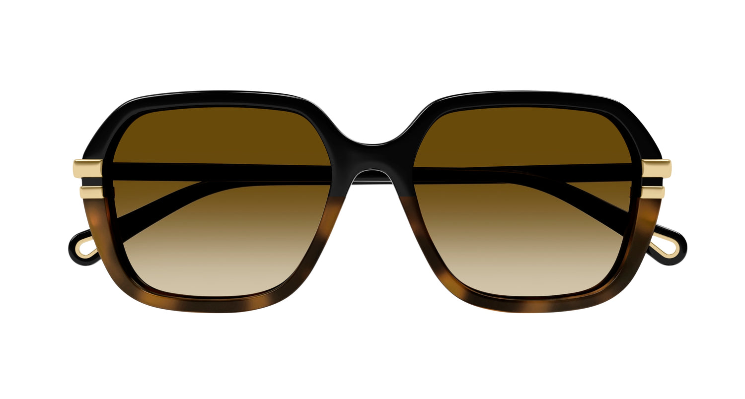 CHLOÉ CH0204S 003 57