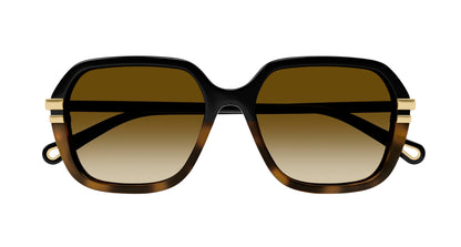 CHLOÉ CH0204S 003 57