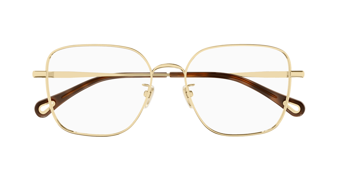 Brillen chloé ch0214oa 001 femenino maat 54mm - Detailaanzicht