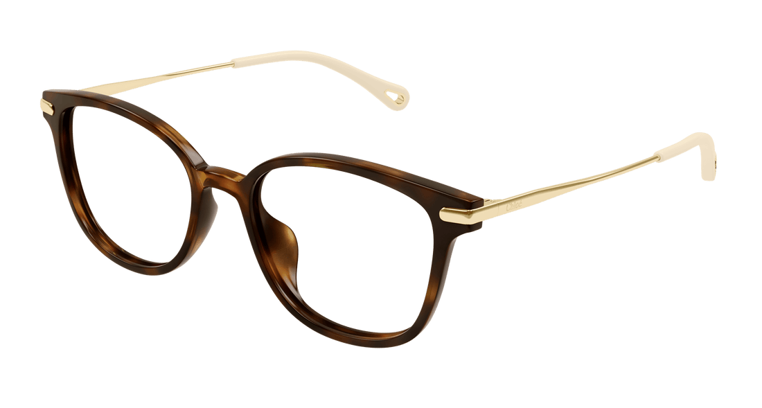 Dioptrijske naočale chloé ch0219oa 002 femenino veličina 53mm - Glavni prikaz