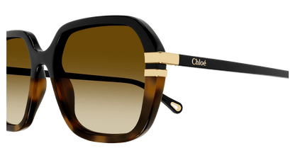 CHLOÉ CH0204S 003 57