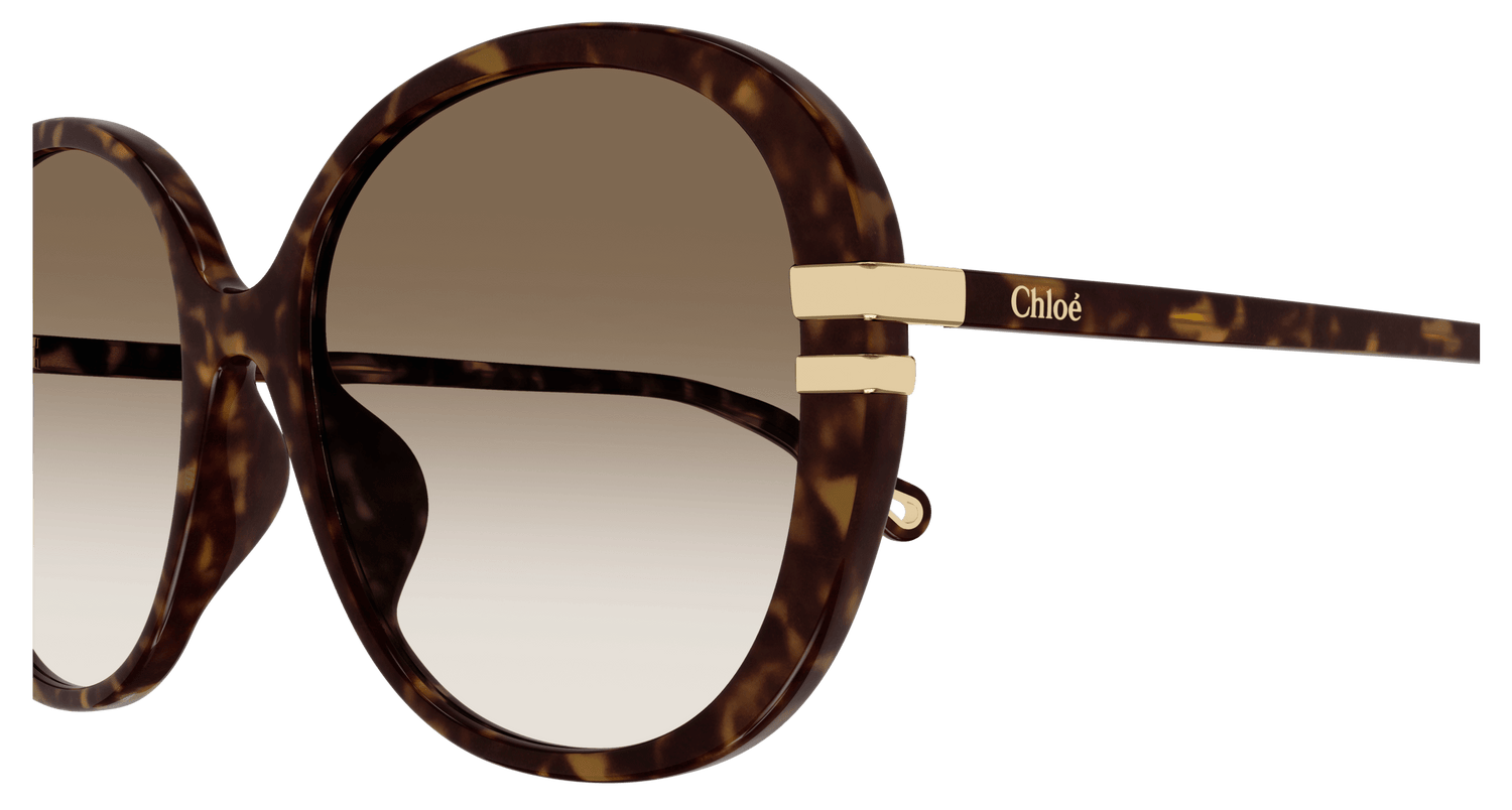 CHLOÉ CH0207SK 002 58
