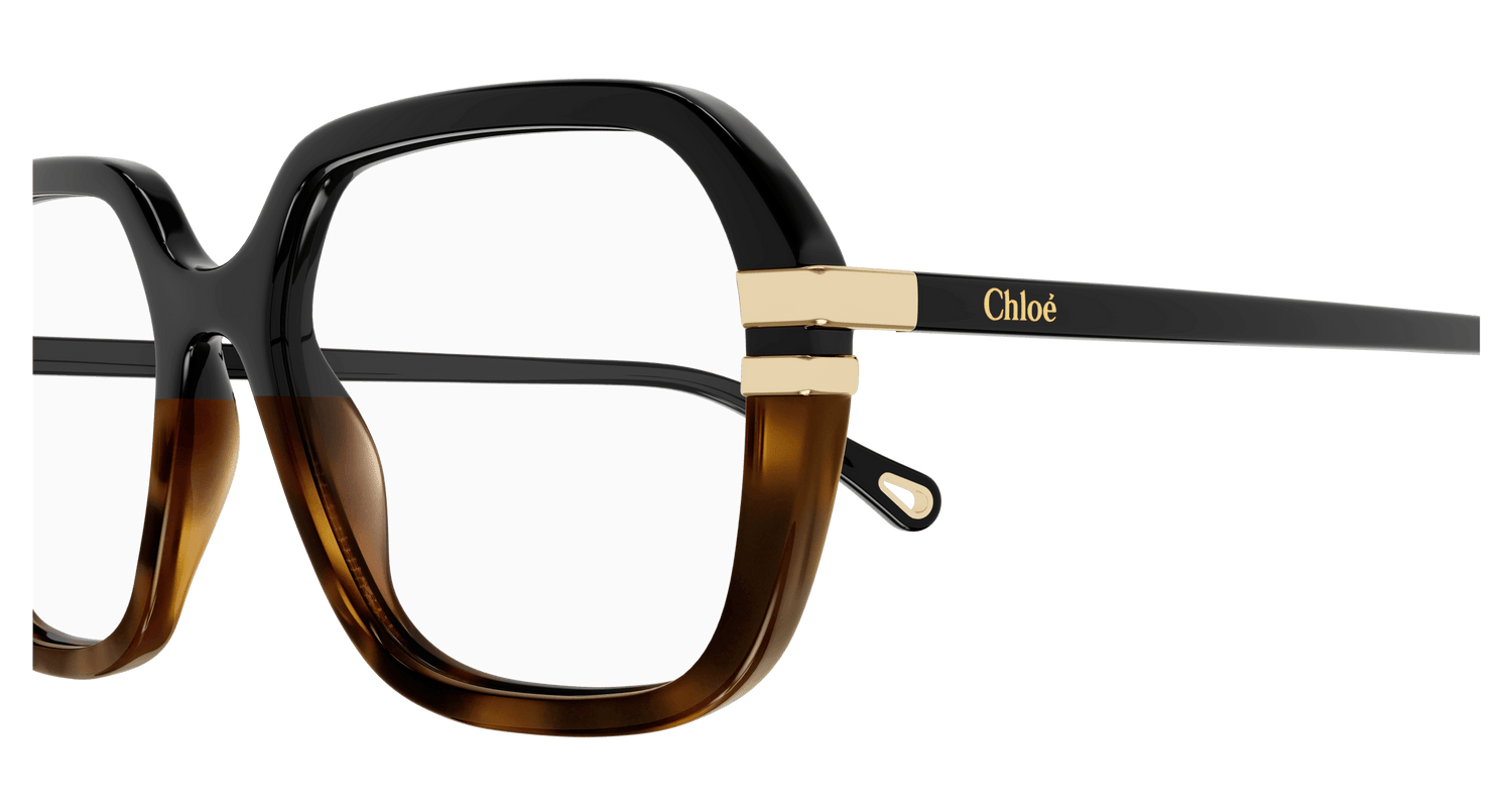 CHLOÉ CH0205O 003 53