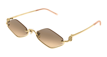 GUCCI GG1604S 003 53