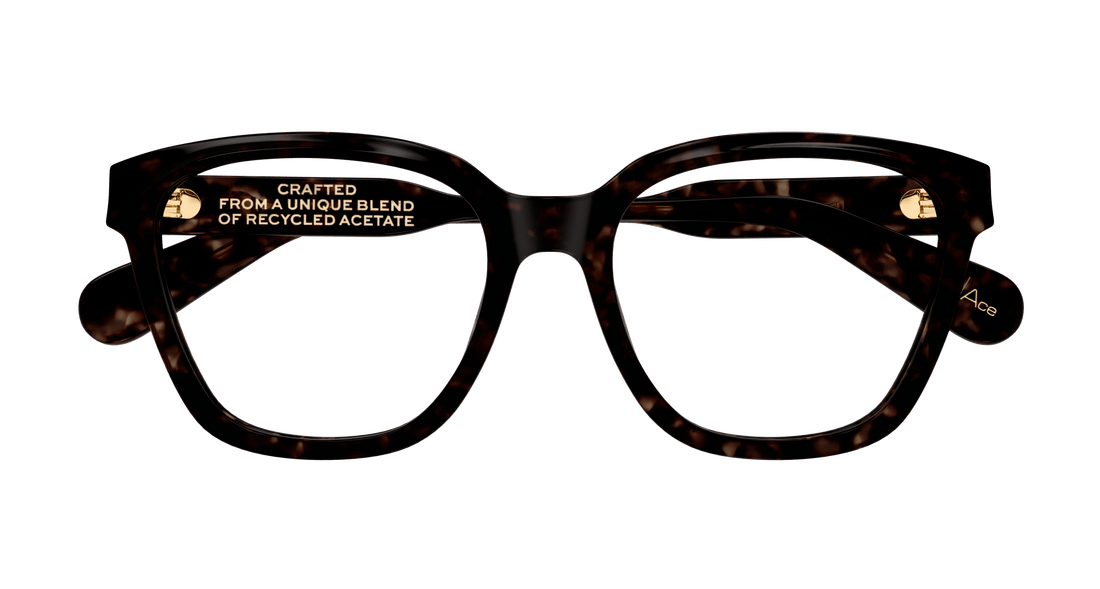 Brillen chloé ch0265o 002 havana round/oval/panthos femenino größe 54mm - Detailansicht