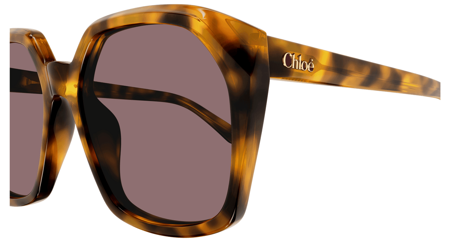 CHLOÉ CH0280S 004 57