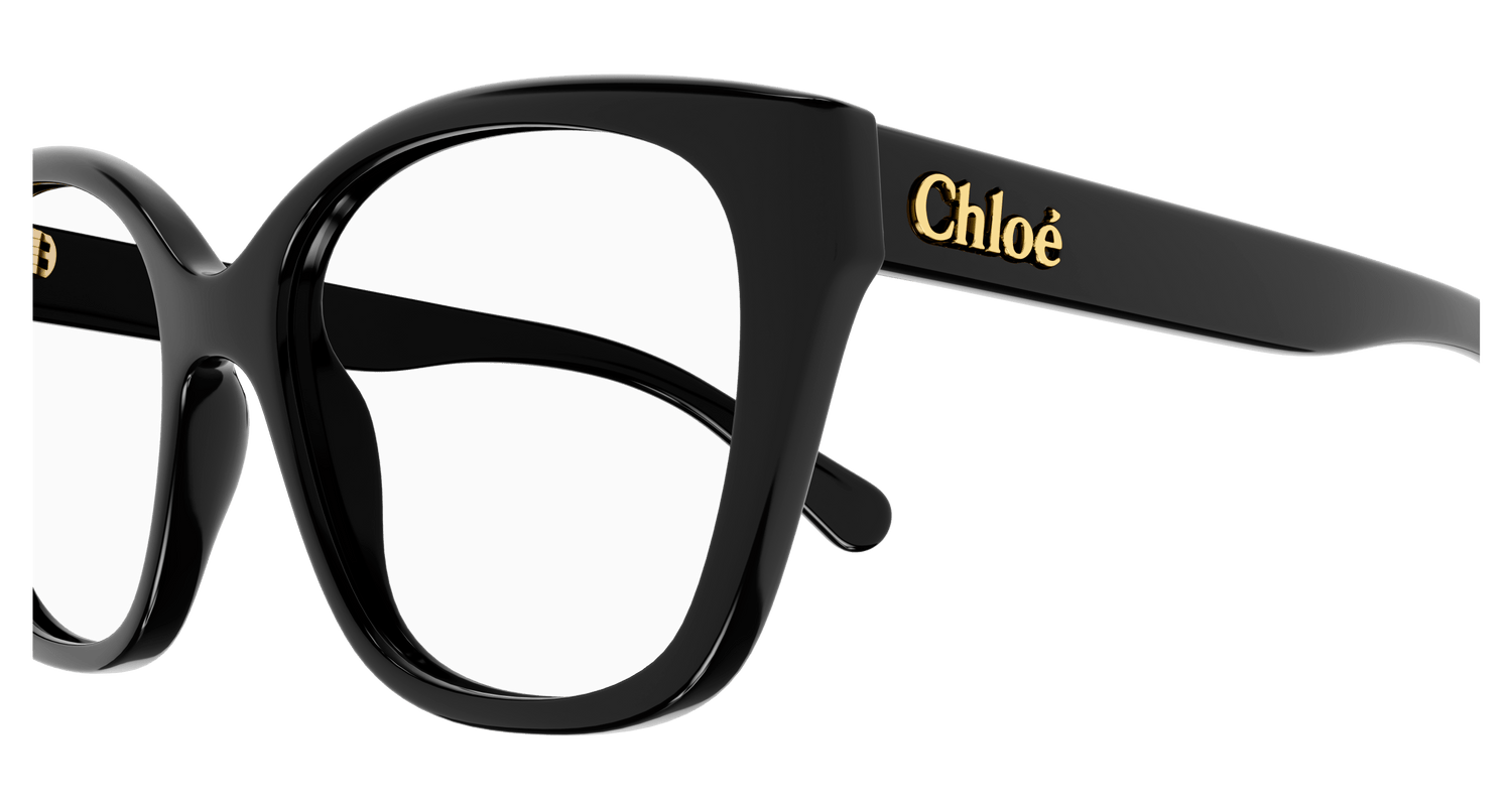 CHLOÉ CH0241O 001 53