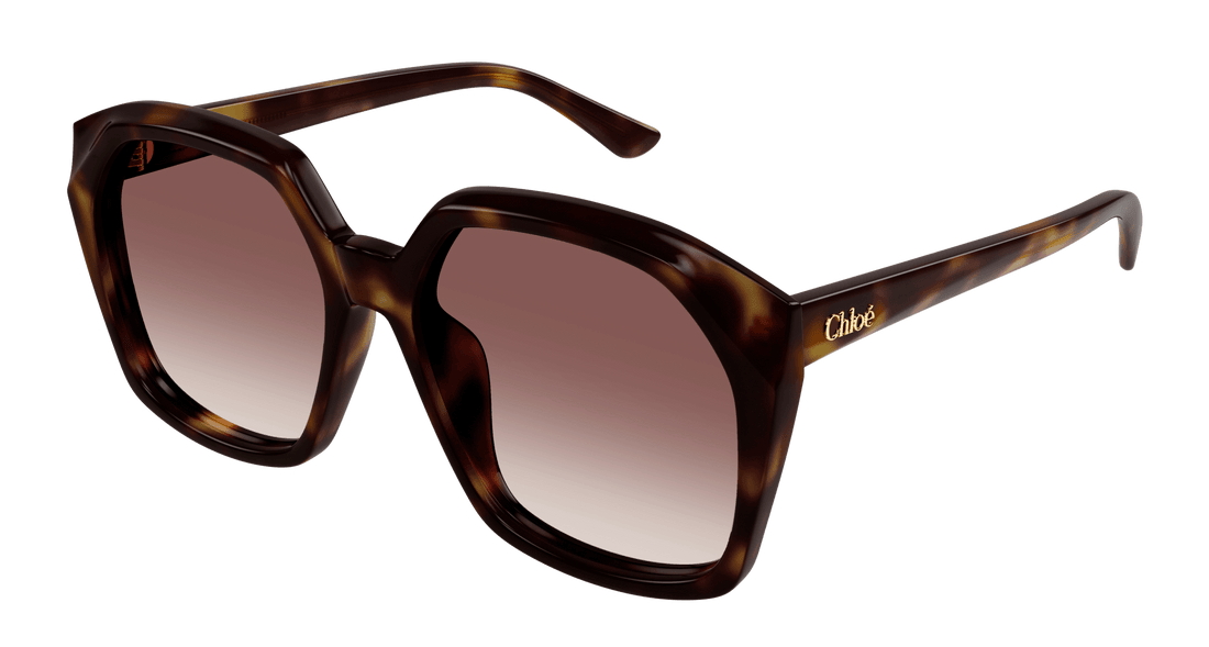 Sonnenbrillen chloé ch0280s 006 havana rectangular / squared femenino größe 57mm - Hauptansicht