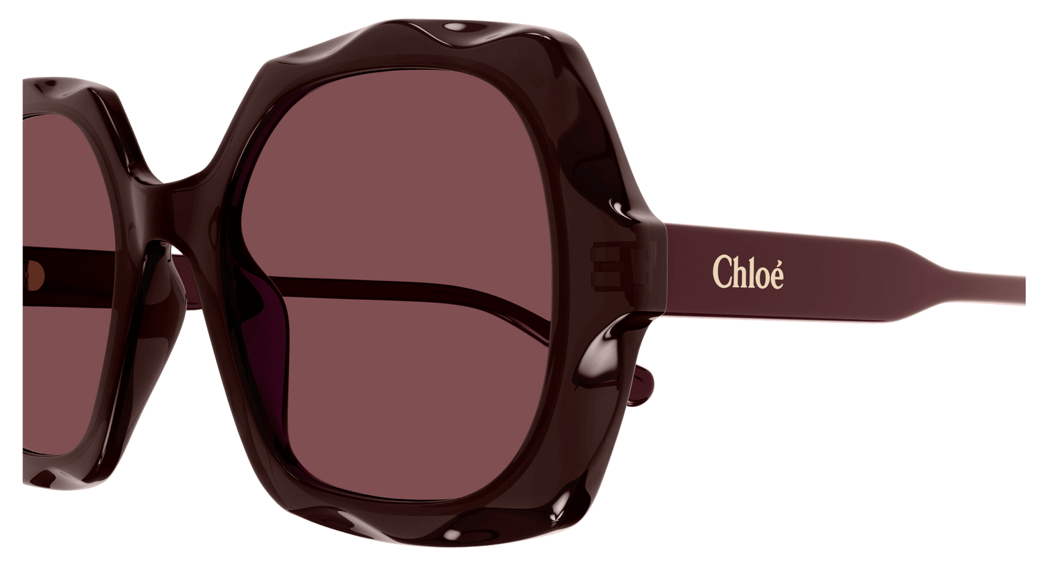 CHLOÉ CH0226S 002 53