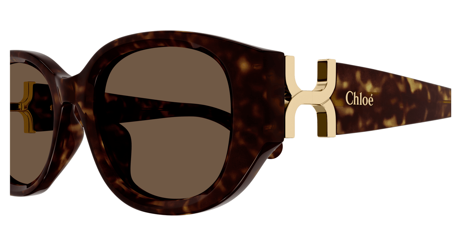 CHLOÉ CH0237SK 002 54