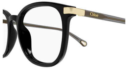 CHLOÉ CH0247OA 001 54