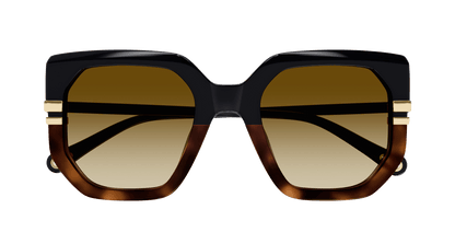 CHLOÉ CH0240S 003 53